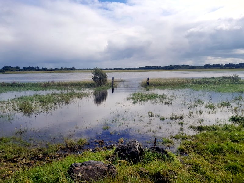 Farmers says flooding on the Shannon Callows between Athlone and Banagher, pictured here, has ruined hay and sileage.