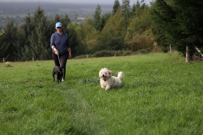 Volunteer Fiona Kynes walks puppies at the rescue centre in Wicklow.  Photograph: Nick Bradshaw