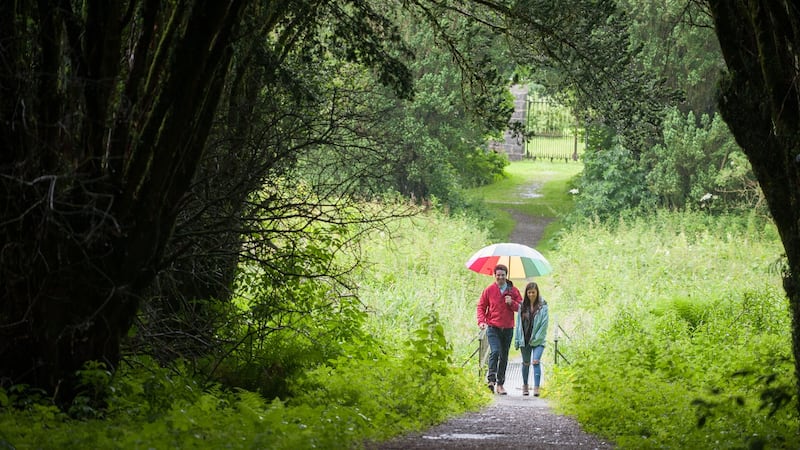 Rossmore Forest Park. Photograph: Monaghan Tourism