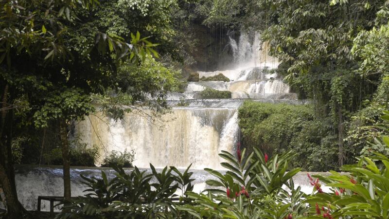 YS Falls: less crowded than the more famous Dunn’s River waterfall in Ochos Rios, which is a massive tourist trap. Photograph: Ian Cumming/Getty Images