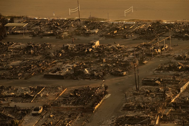 A person walks through a neighbourhood destroyed by the Palisades fire. Photograph: John Locher/AP