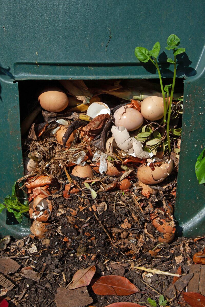 'Essential tools? My must-have list would include a wheelbarrow, garden fork, spade, rake, secateurs and trowel ... A compost bin is another must.' Photograph: PA