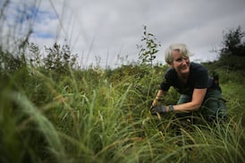  Catherine Cleary: ‘I stood in this dripping wet mossy forest and something just shifted in me’ 