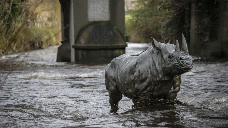 A rhinoceros statue in the river Dodder at Temple Park, Milltown. Photograph:  Crispin Rodwell