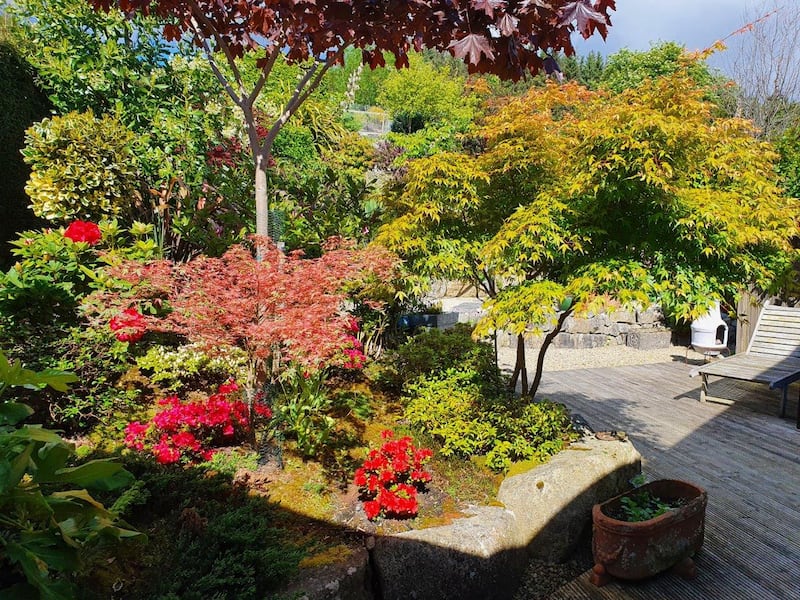 The property has well stocked gardens