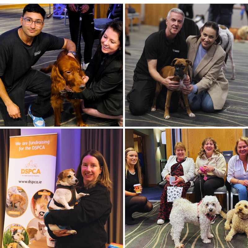 Hilton Dublin Kilmainham and DSPCA are so good at treating animals, it’s un-fur-gettable