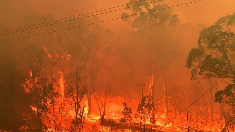 A bushfire burns along the Old Hume Highway near the town of Tahmoor, in New South Wales. Photograph: EPA