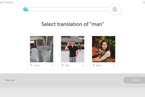 Irish language gets boost from Duolingo mobile app