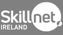 Skillnet Ireland