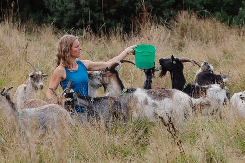 Meet the goat herder of Howth Head