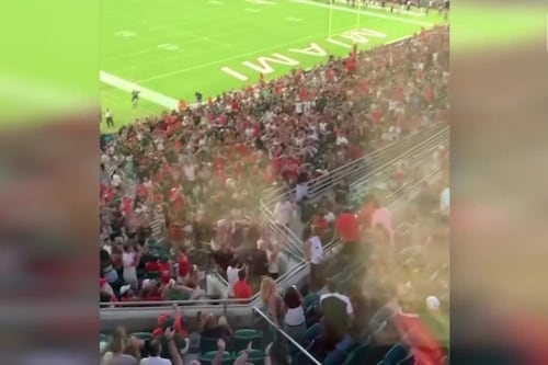 Touchdown tabby: American football fans catch falling cat at Miami stadium