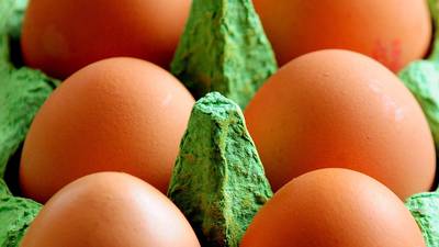 Dutch egg scandal hits Ireland as businesses forced to pull products