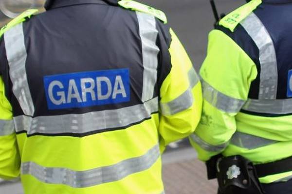 Two men arrested in Dublin following €800,000 drugs seizure