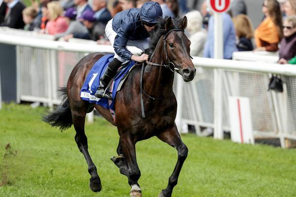 Decisions to be made on where to run Guineas and Derby horses