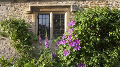 A partnership made in heaven: climbing roses and clematis