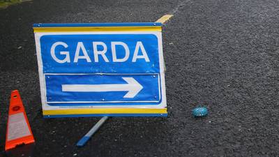 Driver of minibus killed following crash in Tramore
