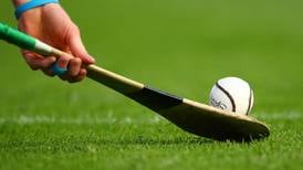 Leinster Under-20 hurling round-up: Offaly and Westmeath through to quarter-finals