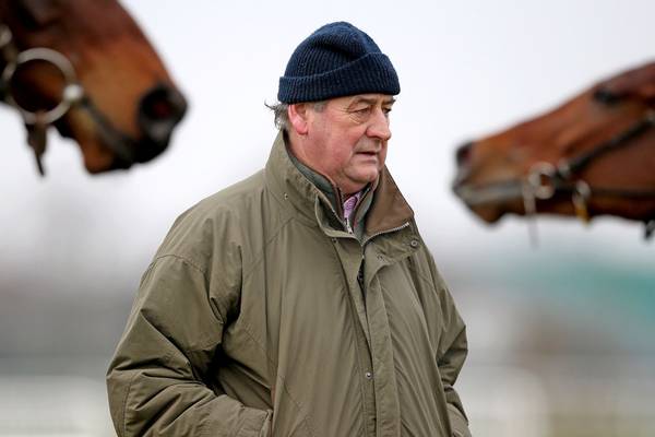 Horseracing in the time of Covid: ‘It’s hard to explain. Meetings are soulless now’