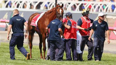 Red Cadeaux undergoes surgery in Australia