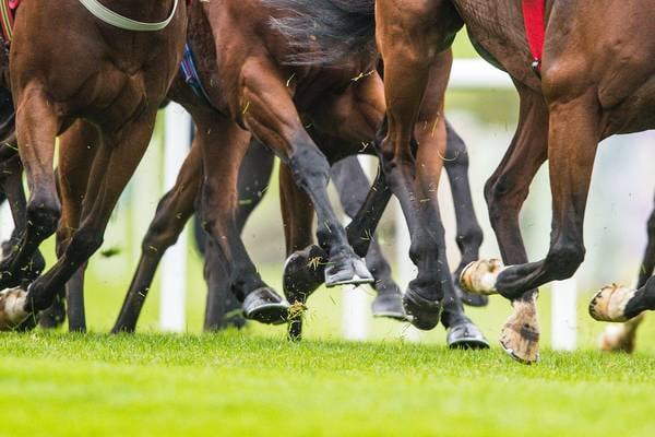 RTÉ Investigates: Horrifying scenes of horse cruelty shows racing needs to act 