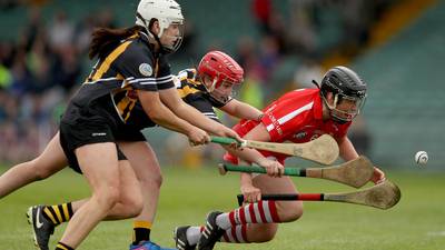 Kilkenny tactics work perfectly as they clinch league title
