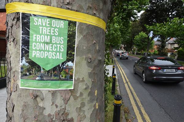 Dublin bus corridors: 2,449 trees would go under latest plans