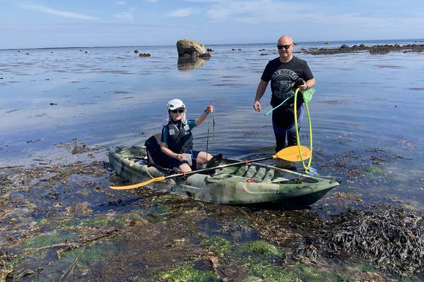 Vital seagrass beds being ‘overwhelmed by invasive alien seaweed’ – Coastwatch warns