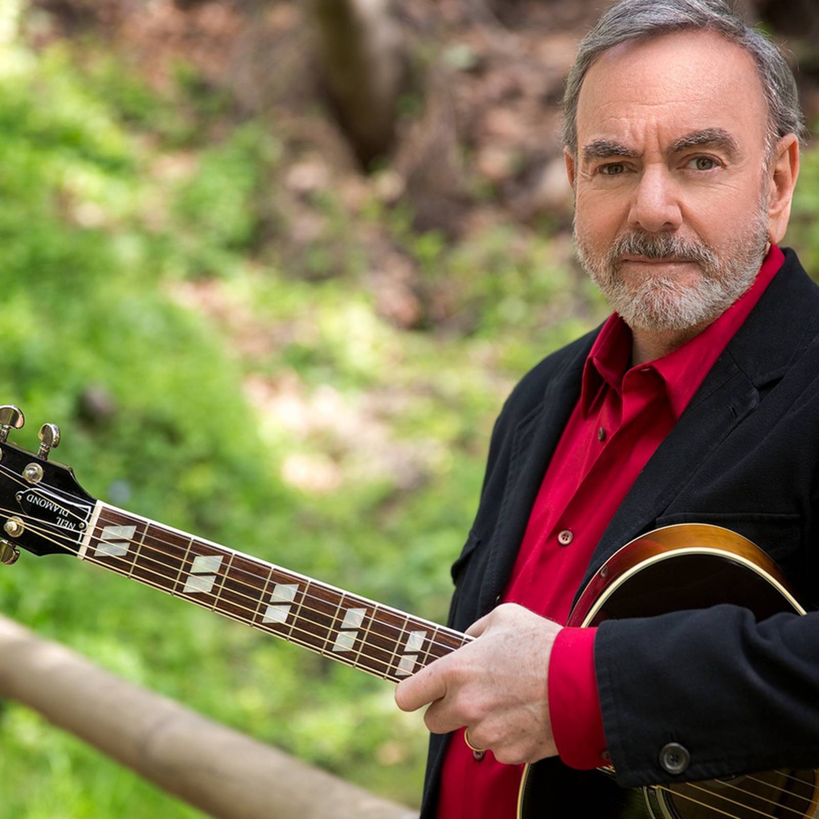 13 Facts About Neil Diamond 