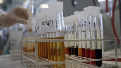 Rugby now second on Sport Ireland’s anti-doping test list