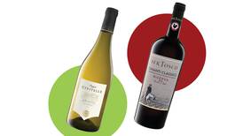 Two Italian wines at reduced prices to try — a classic Chianti and dry white