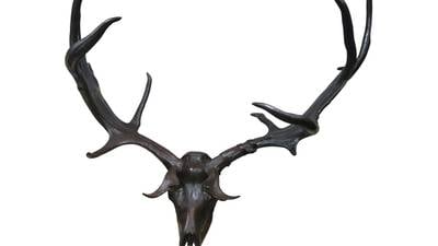 Elk antlers a trophy buy at Mullen’s
