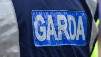 Man (20s) dies in Limerick crash