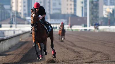 Aidan O’Brien: Highland Reel will ‘be hard to replace’