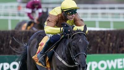 Galopin Des Champs tops 20 Cheltenham Gold Cup contenders