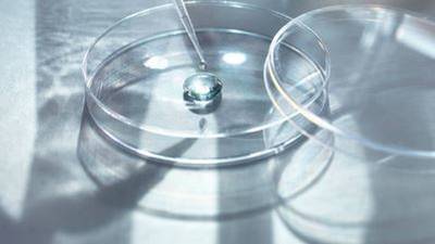 Iona Institute opposed to parts of Assisted Human Reproduction Bill
