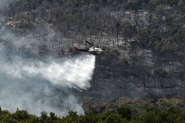 Thirteen arrested after fireworks from yacht allegedly spark forest fire on Greek island