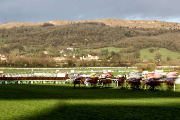Irish Jockeys Association say Cheltenham penalties are ‘illogical’