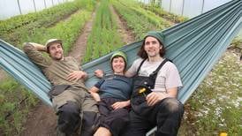 ‘We’re the grumpy twins of the veg scene’: Comedian Kevin McAleer’s adult children turn to organic farming 