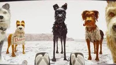 Isle of Dogs: A five-star movie that doesn’t put a paw wrong