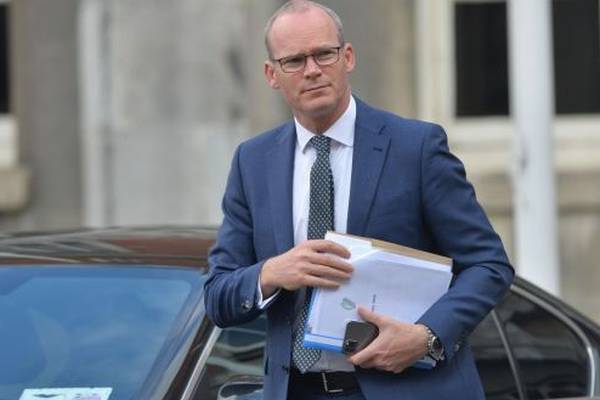 Coveney to be asked to appear before committee over celebration