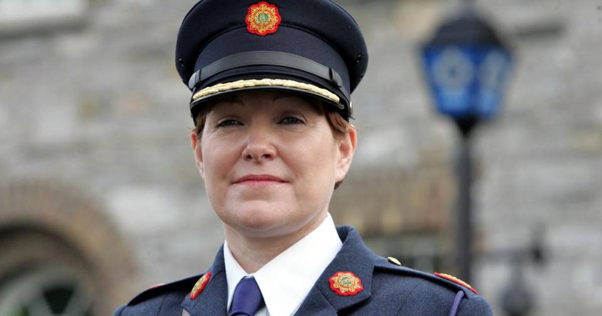 Vacancy at head of Garda hindering recovery in oversight systems – The ...