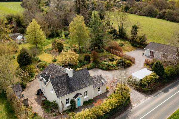 Artist’s quaint Wicklow cottage with studio and ‘wild’ gardens for €440,000