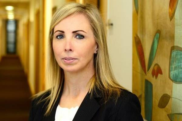Data commissioner welcomes ‘critical’ €4m budget rise