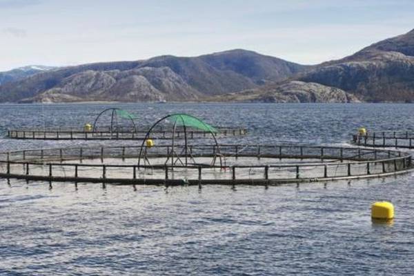 Government’s refusal to release fish disease information may be investigated