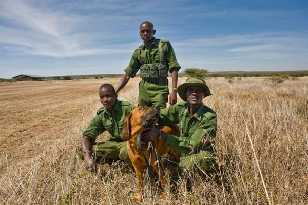 Kenya reserve  benefits both wildlife and local people