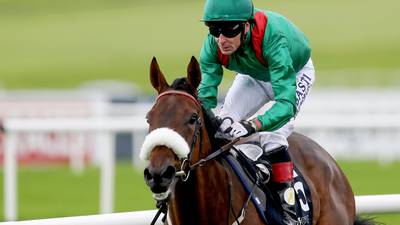 Shamreen on course to step up to Group One level at Chantilly