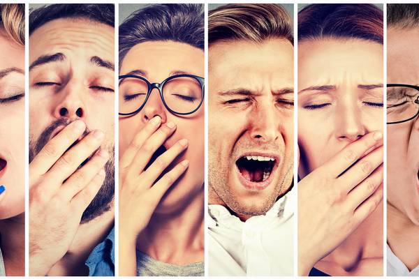 ‘The silent scream’: why do we yawn?