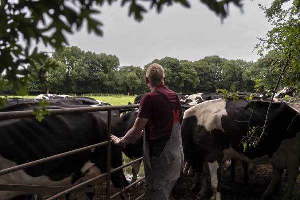 ‘There’s no farming without profit, it’ll be gone in the morning if there isn’t money’