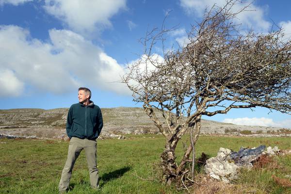 When it comes to nature restoration plans, EU states will look to the Burren Programme. We should do the same