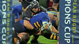 Leinster show the sting in their tail